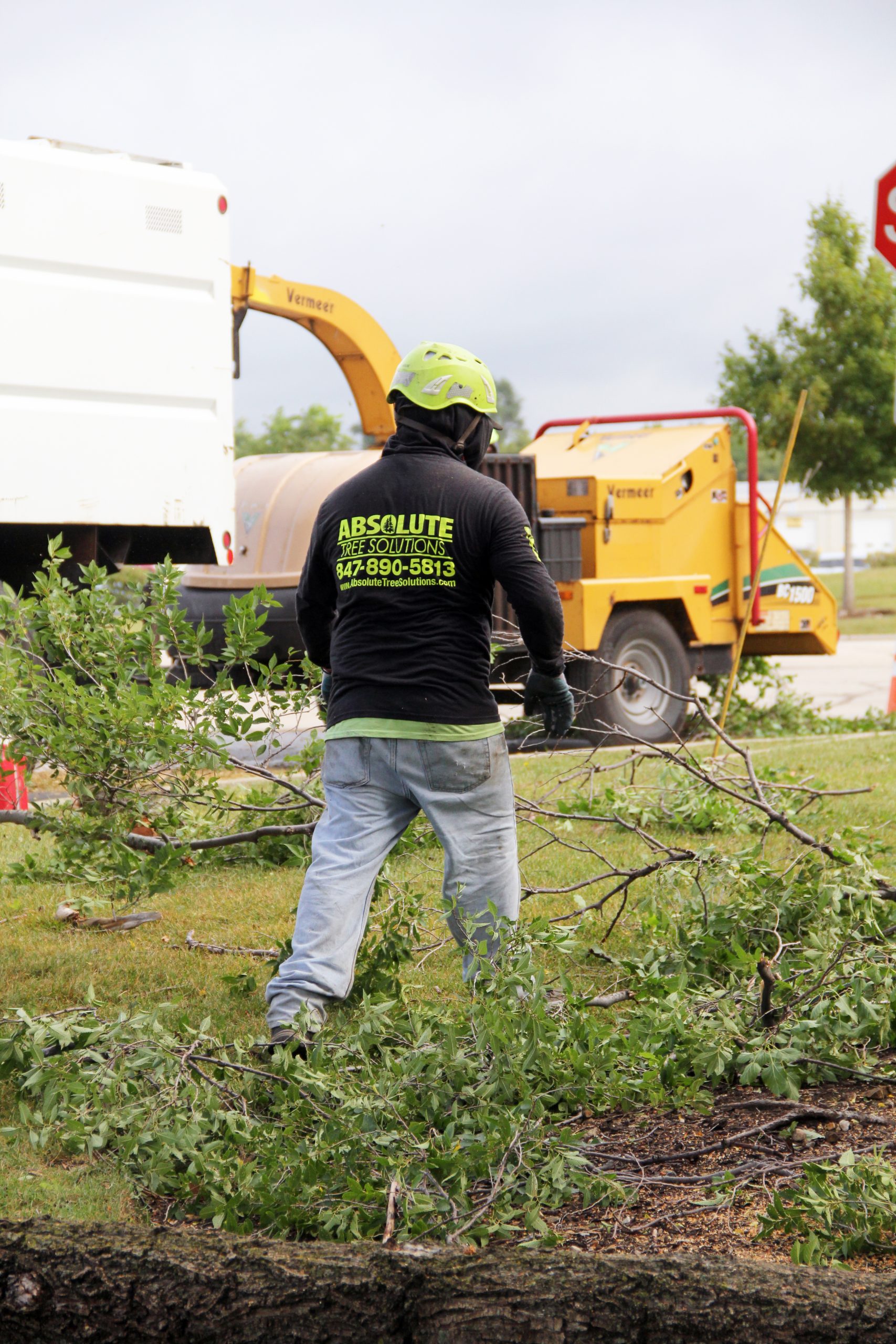 Tree, Brush, Shrub and Land Clearing Contractor