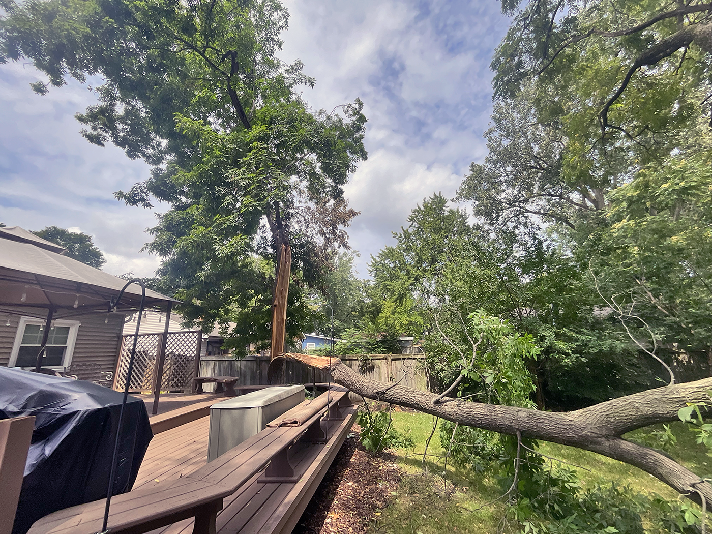 Local Storm Damage  Tree Removal & Trimming Contractor