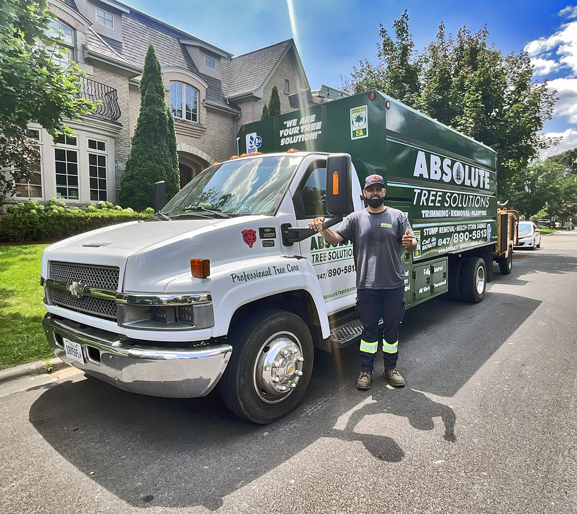 Local Tree Removal Contractor in Palatine and Nearby