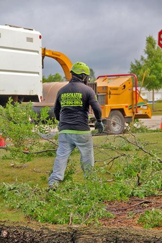 400-Tree-Removal-IMG 9424