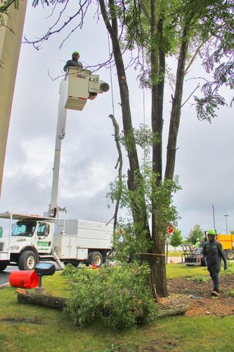 600-Bucket-Truck-IMG 9436